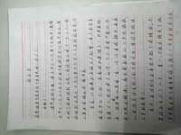 北京宠约科技有限公司