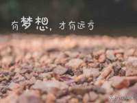 北京宠约科技有限公司