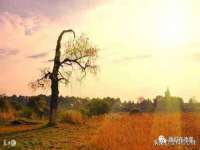 北京宠约科技有限公司