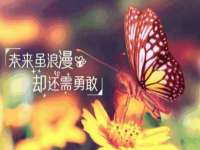 北京宠约科技有限公司
