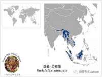 北京宠约科技有限公司