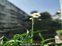 北京宠约科技有限公司