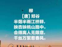 北京宠约科技有限公司