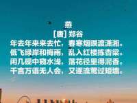北京宠约科技有限公司