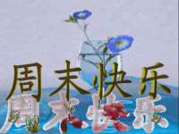 北京宠约科技有限公司