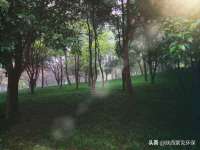 北京宠约科技有限公司