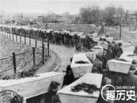 北京宠约科技有限公司