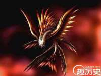 北京宠约科技有限公司