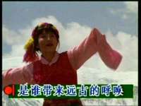 北京宠约科技有限公司