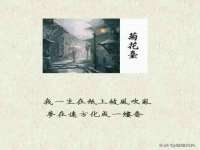 北京宠约科技有限公司