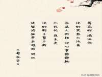 北京宠约科技有限公司