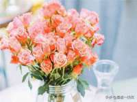 北京宠约科技有限公司