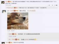 北京宠约科技有限公司