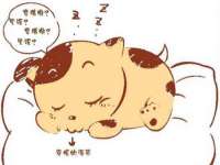 北京宠约科技有限公司
